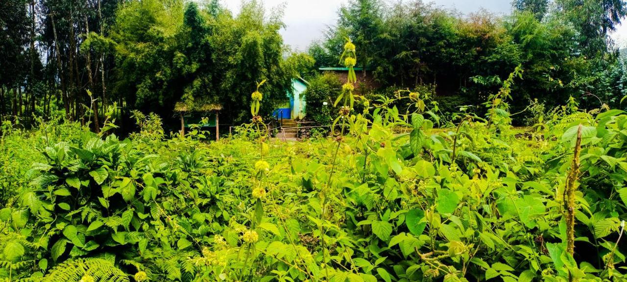 Nyarugina Under Volcanoes View Guest House מראה חיצוני תמונה