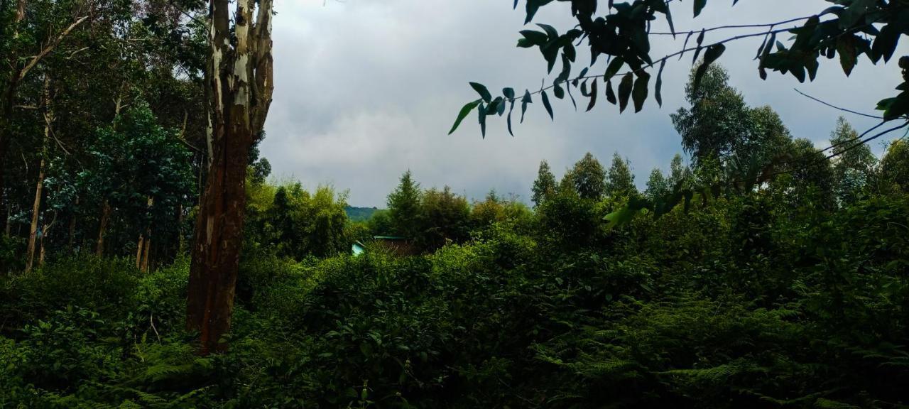 Nyarugina Under Volcanoes View Guest House מראה חיצוני תמונה